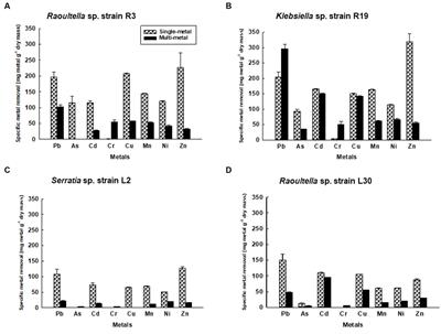 Metal tolerance and biosorption capacities of bacterial strains isolated from an urban watershed